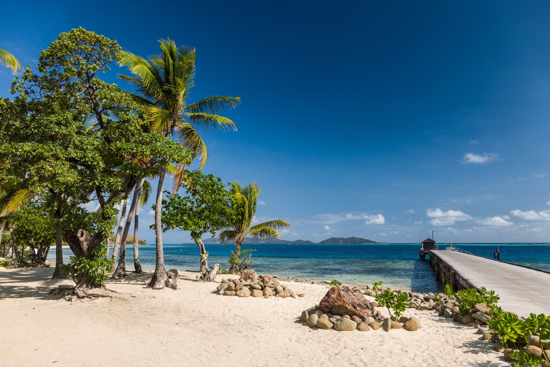 Fiji island beach and palms