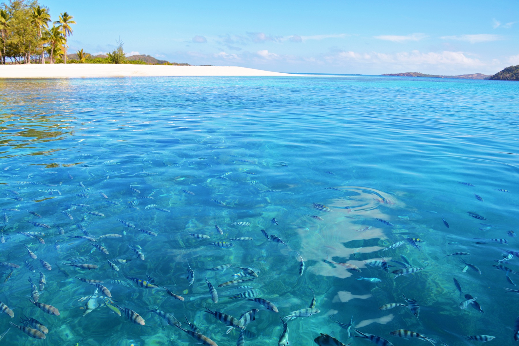 Clear water beside a Fiji island